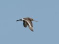 Grutto-voor-website-topaz-enhance-2.8x